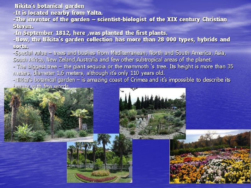 Nikita’s botanical garden -It is located nearby from Yalta. -The inventor of the garden